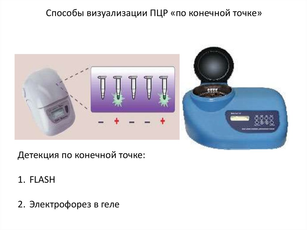 Детекция это. Методы детекции результата ПЦР. Детекция по конечной точке. ПЦР по конечной точке. Флуоресцентная детекция по конечной точке.