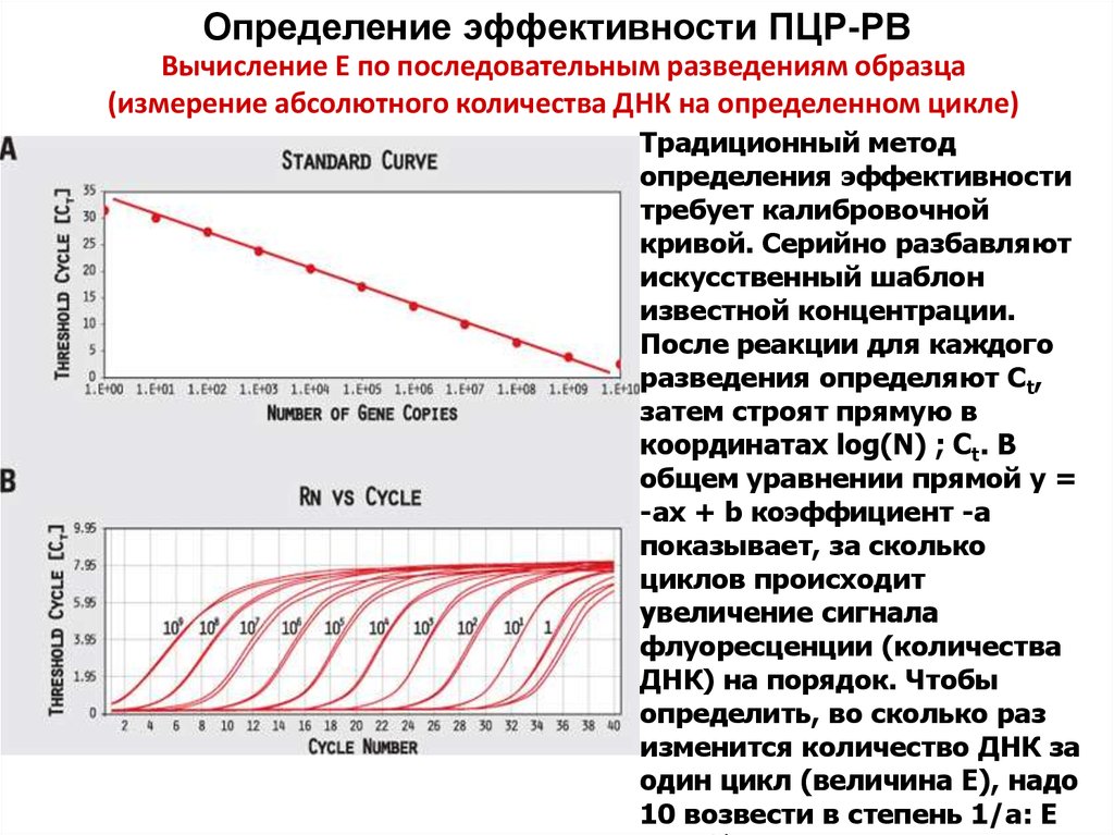 Измерение кривых