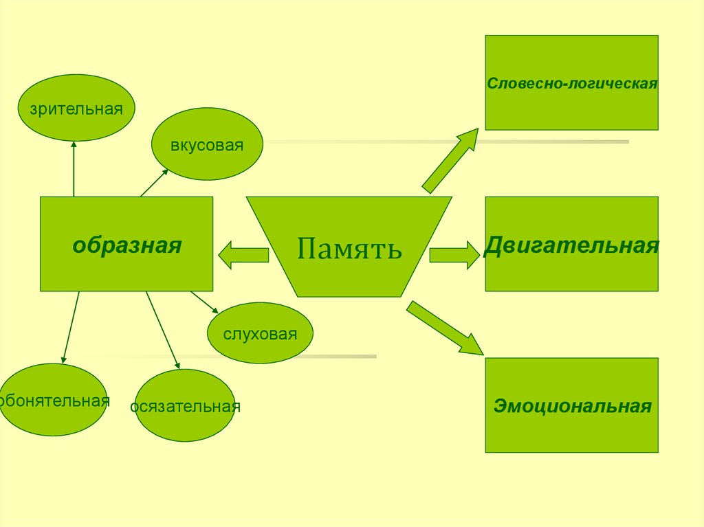 Словесно логическая память презентация