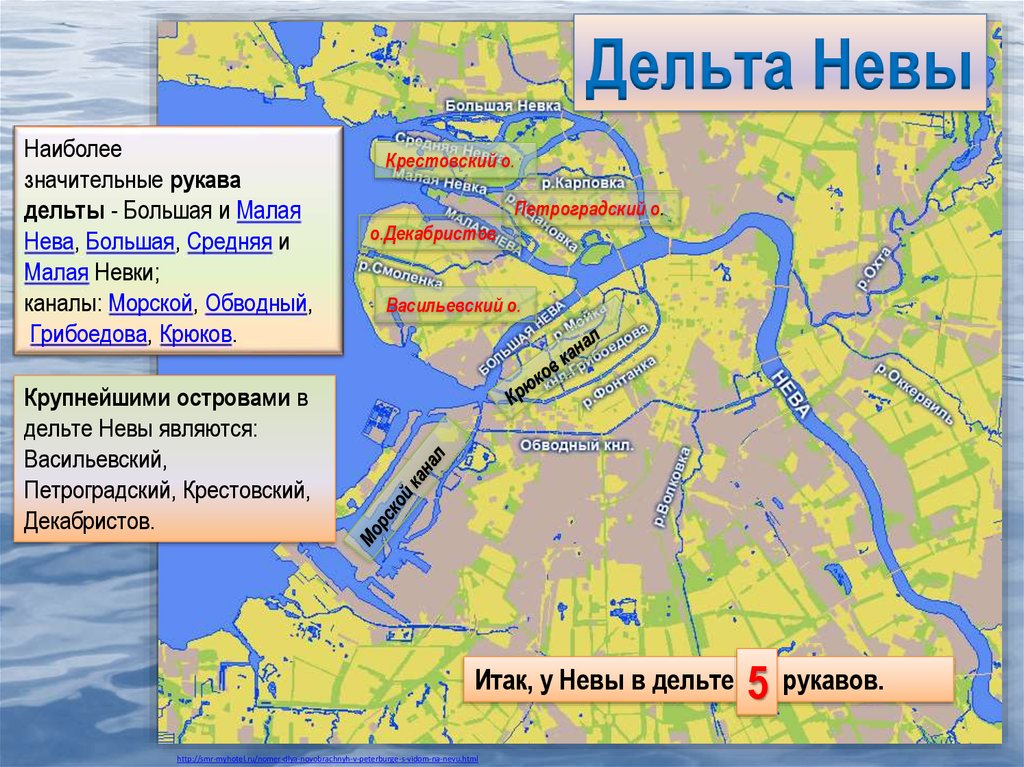 Петербург расположен на реке неве. Устье реки Невы на карте.