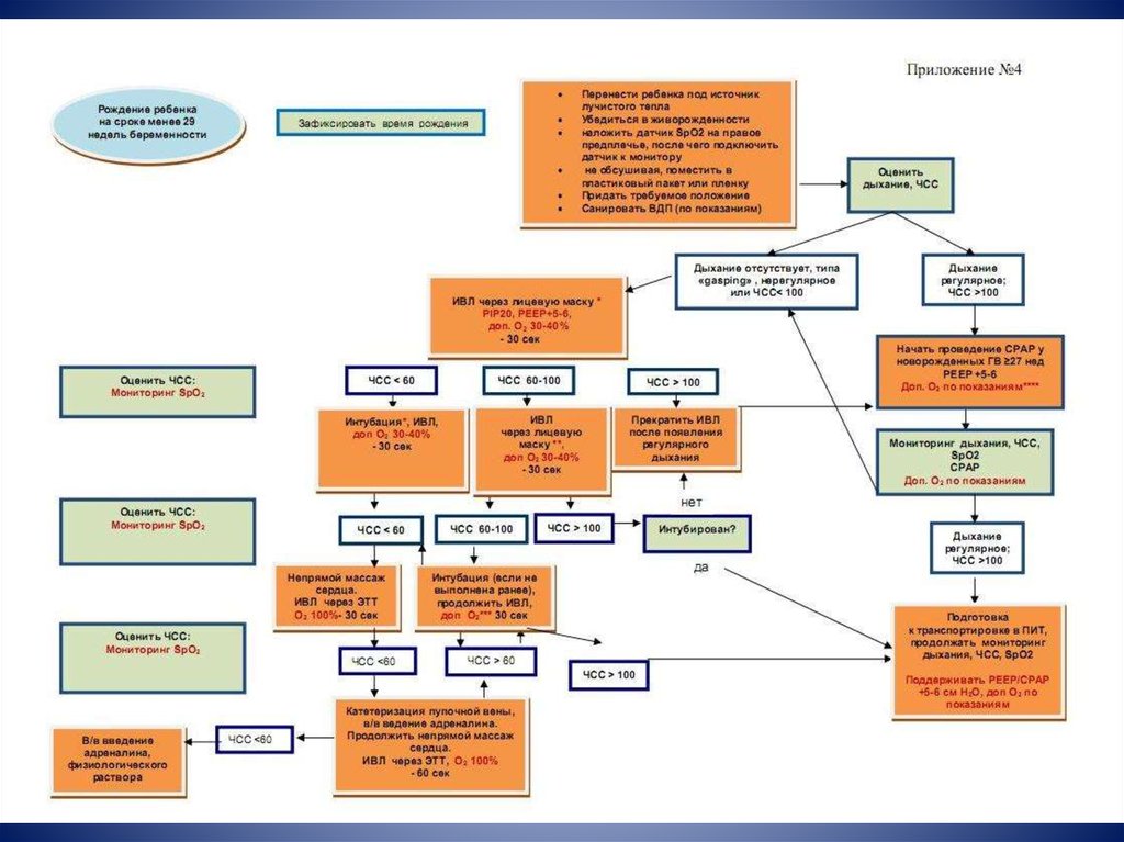 Реанимационная карта новорожденного