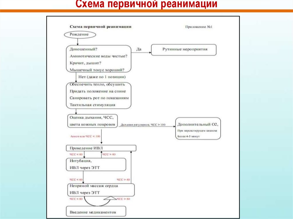 Вкладыш карта первичной и реанимационной помощи новорожденному в родильном зале