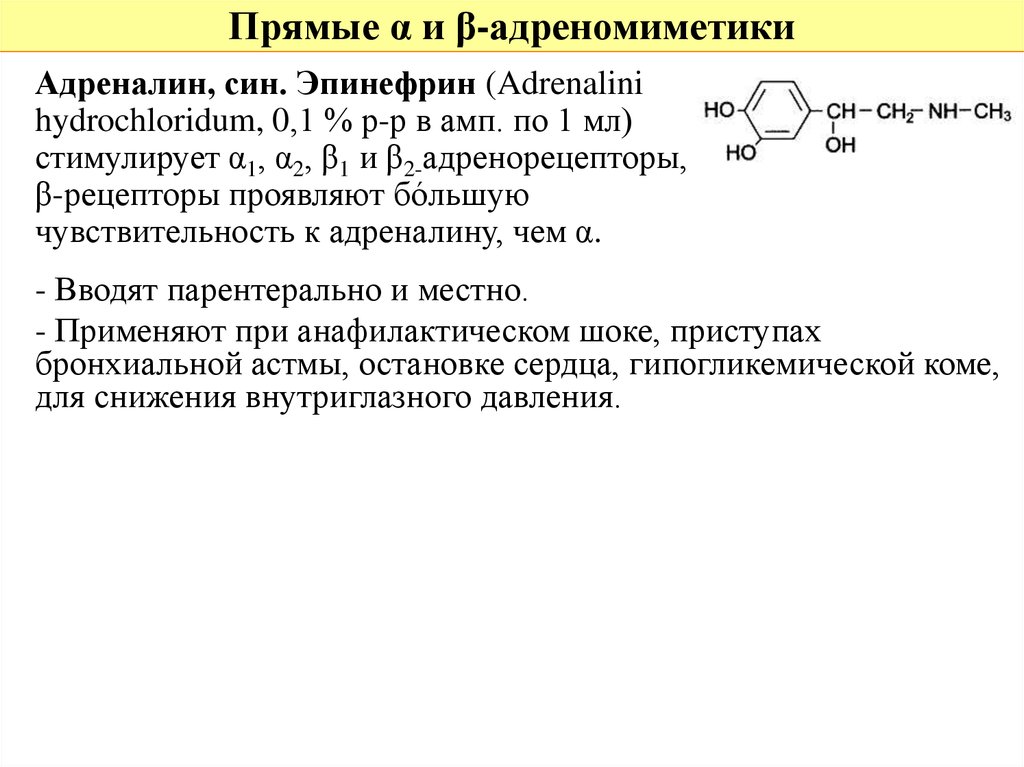 Эфферентная иннервация презентация