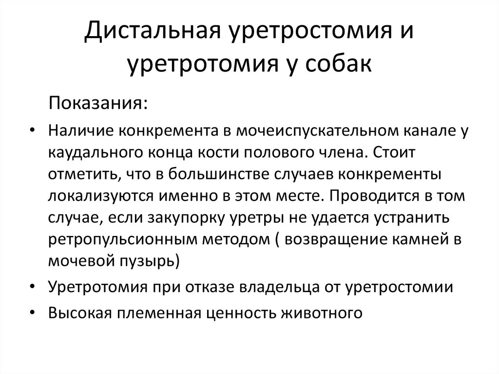 Как выглядит кот после уретростомии Уретростомия - презентация онлайн