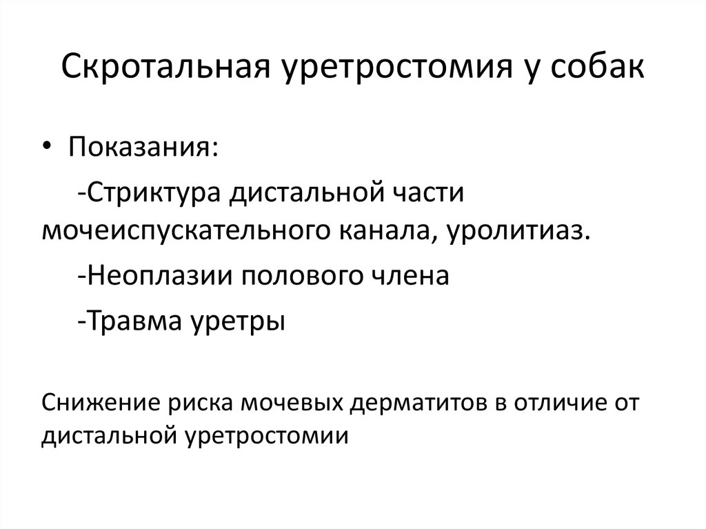 Уретростомия - презентация онлайн