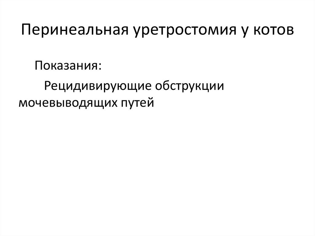 Перинеальная уретростомия у котов