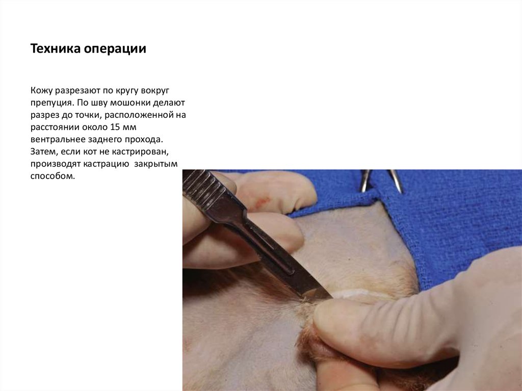 Техника операции