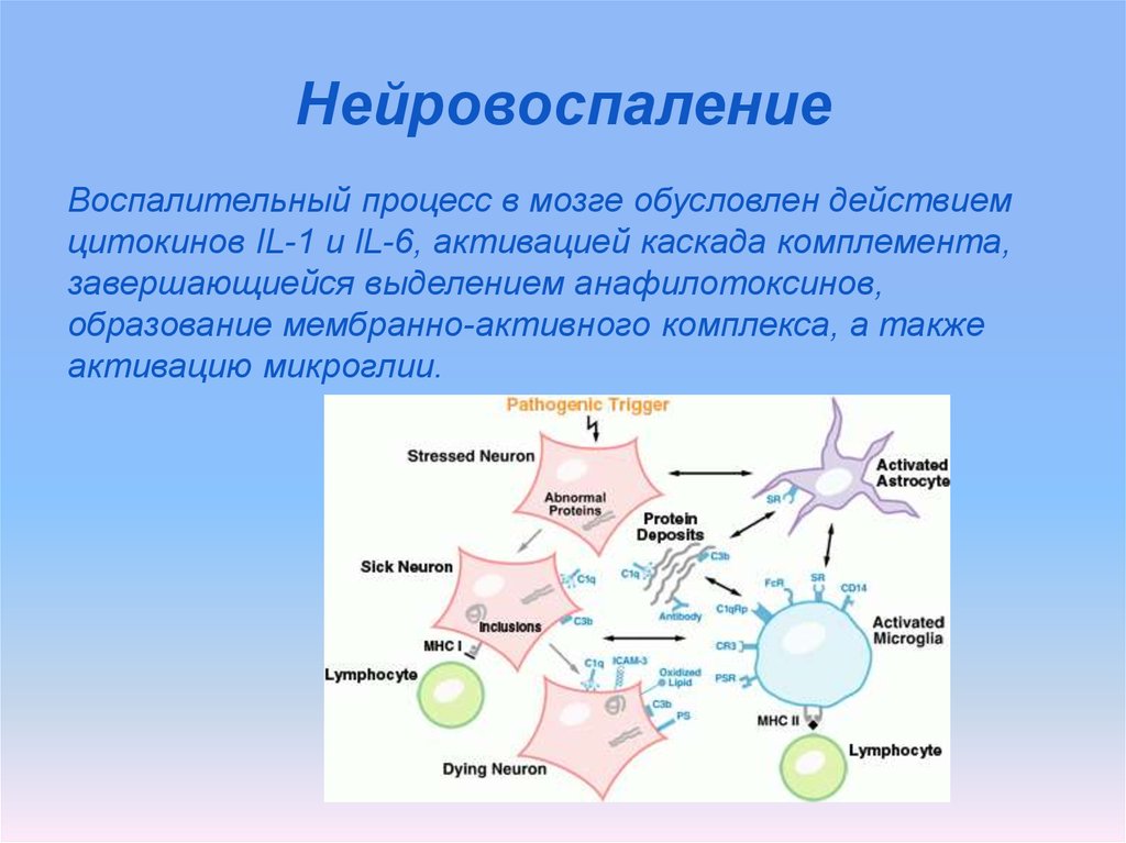 Нейровоспаление