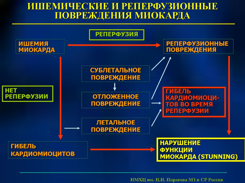 Реперфузионная карта образец