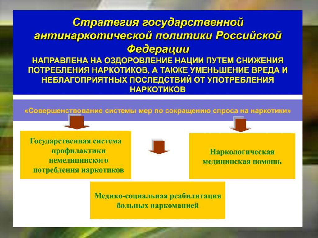 В план мероприятий по реализации стратегии государственной антинаркотической политики не входит