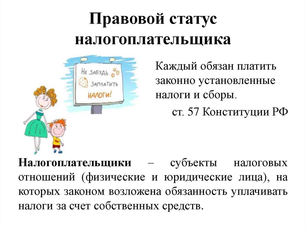 Правовой статус налогоплательщика в рф план егэ