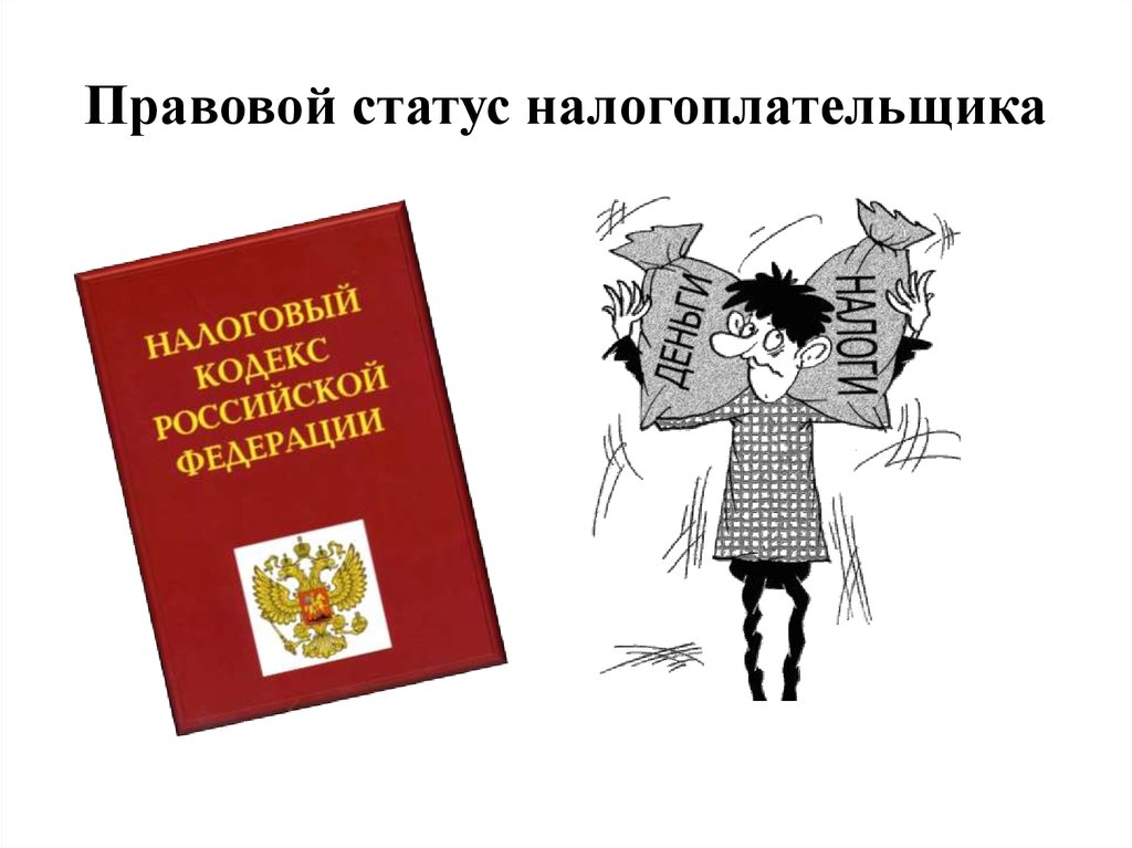 Правовой статус налогоплательщика