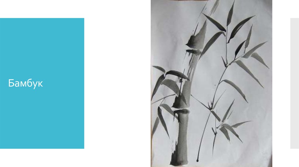 Бамбук
