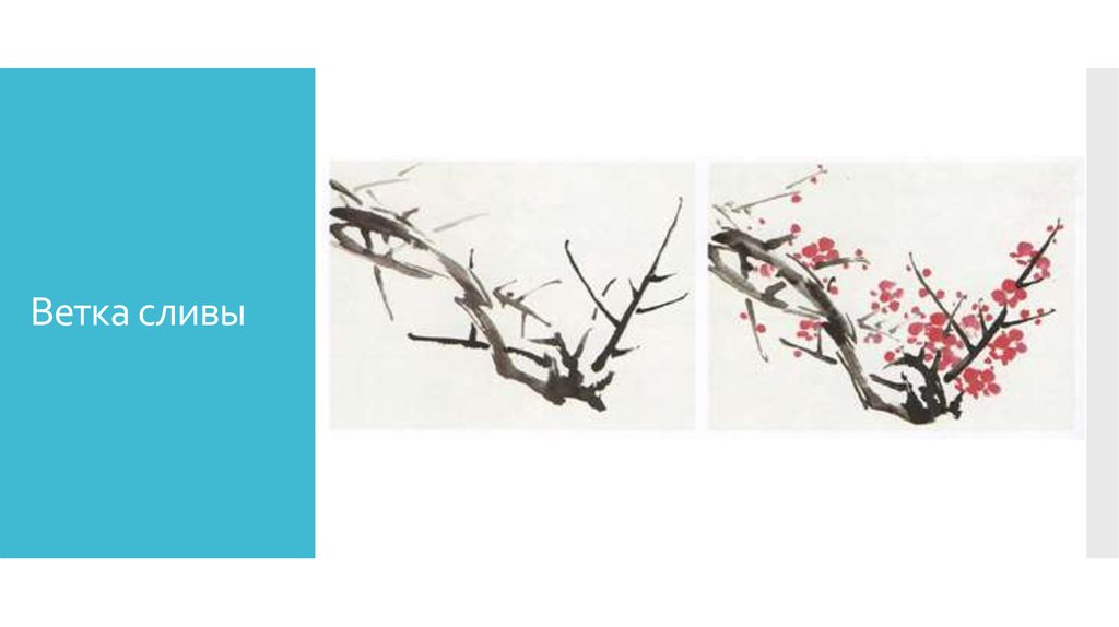Ветка сливы