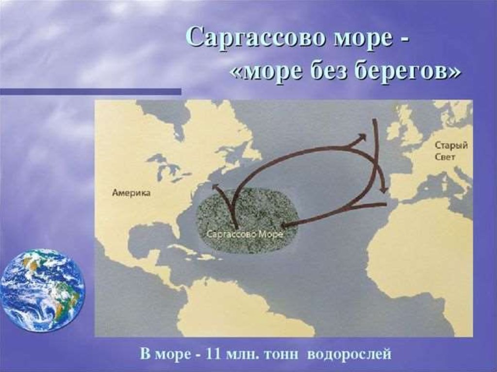 Не имеет берегов. Саргассово море. Саргассово море почему без берегов. Саргассово море море без берегов. Название моря без берегов.