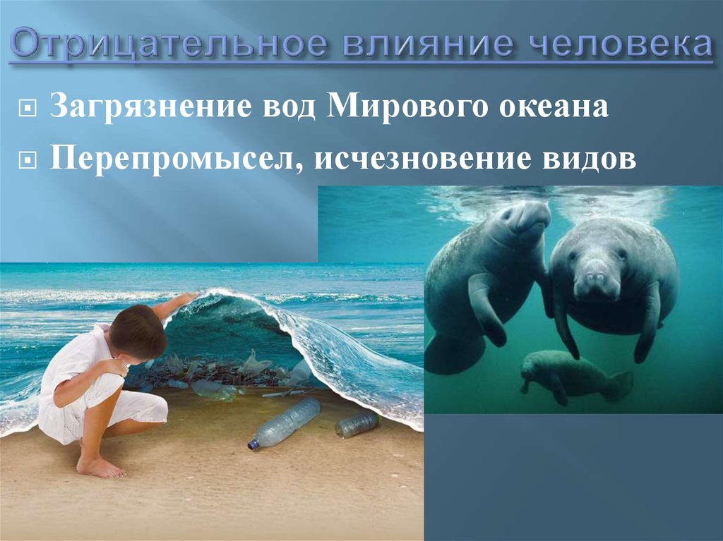 Виды деятельности человека в океане. Влияние мирового океана. Влияние человека на мировой океан. Воздействие человека на океан. Отрицательное влияние человека на океан.