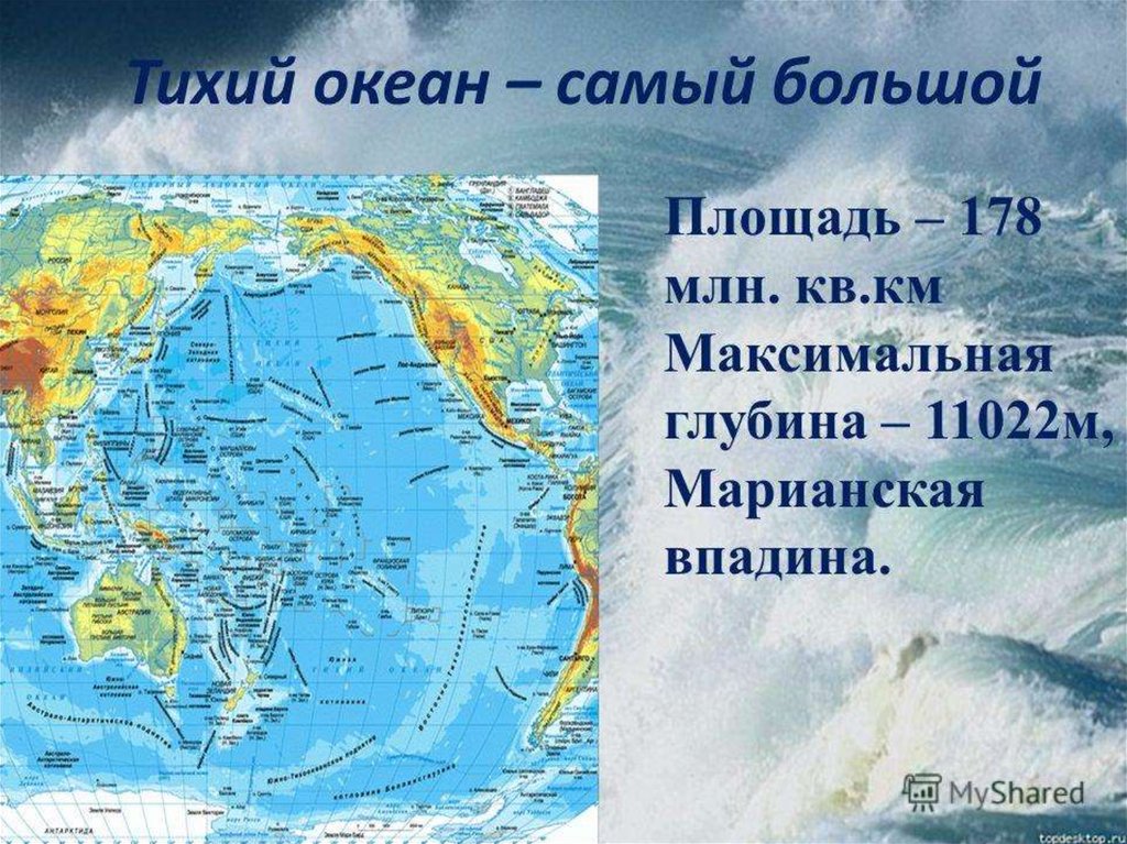 Презентация на тему жизнь в морях и в океанах