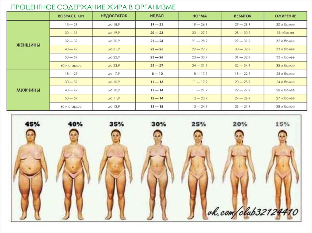 Норма мышц в теле. Нормальный процент жира в организме женщины. Процентное содержание жира в организме мужчины норма. Норма процента жира в организме женщины. Норма жировой массы у мужчин в процентах.