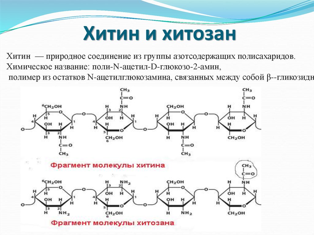 Амин полимер. Хитин формула. Структурная формула хитина. Хитин полисахарид формула. Хитин структурная формула.