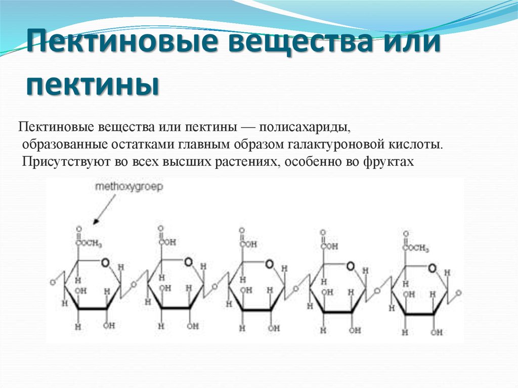 Пектиновые вещества это