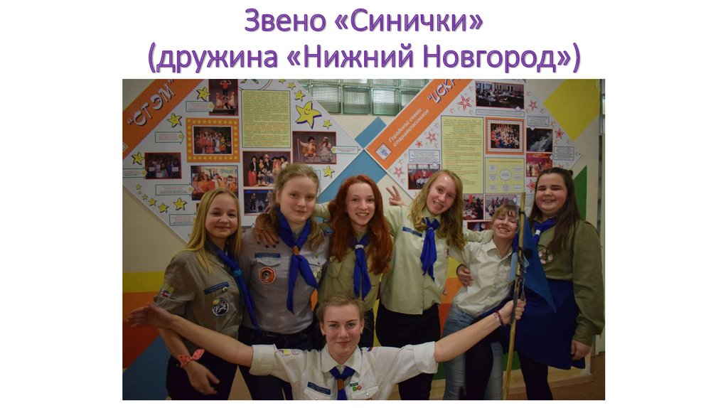 Звено «Синички» (дружина «Нижний Новгород»)