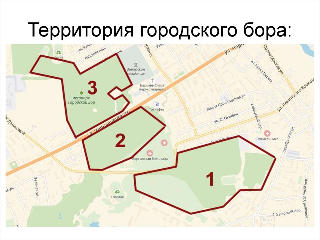 Территория городского бора: