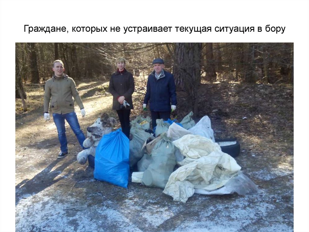 Граждане, которых не устраивает текущая ситуация в бору