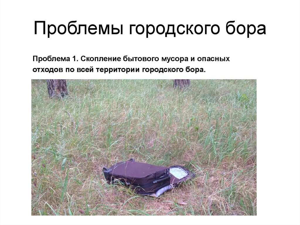 Проблемы городского бора