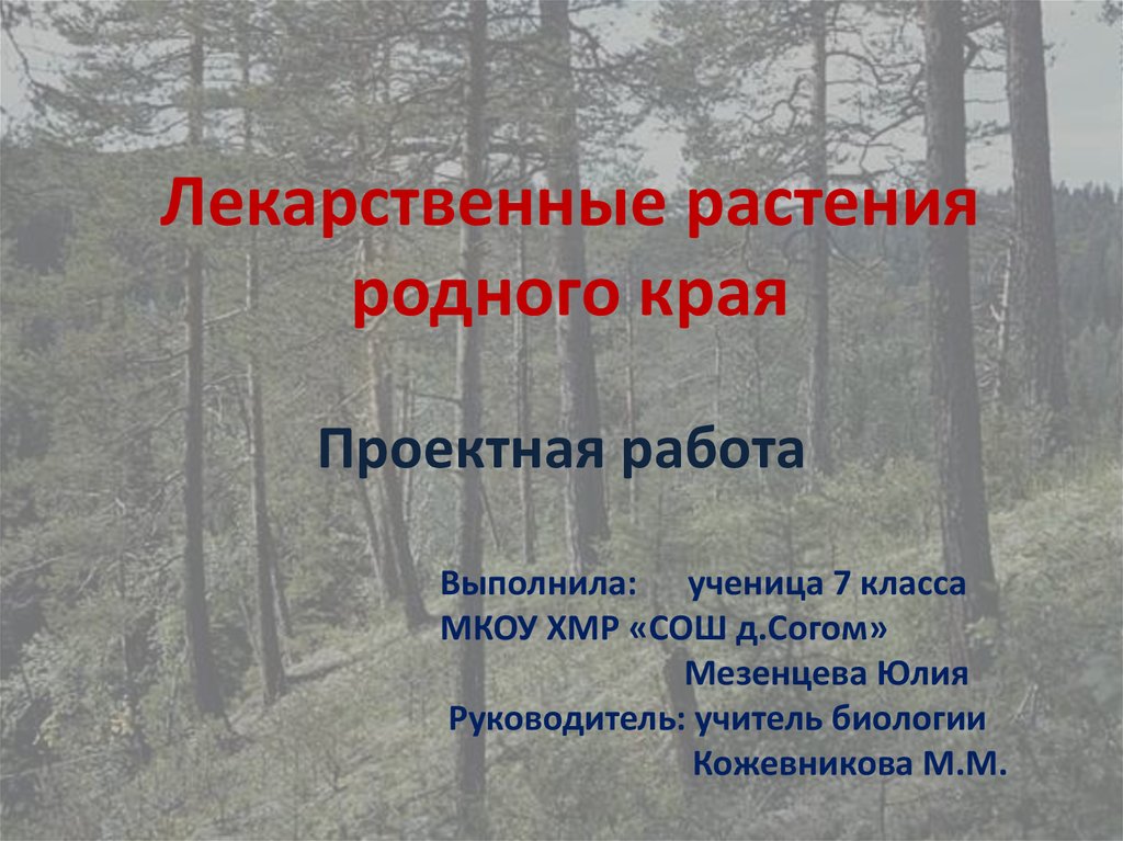 Растения родного края 2. Лекарственные растения родного края. Растения родного края Владимир. Презентация лекарственные деревья родного края. Проектная работа интересные растения родного края.