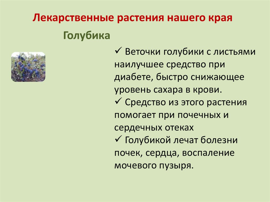 Растения нашего края. Лекарственные растения нашего края. Растения родного края доклад.