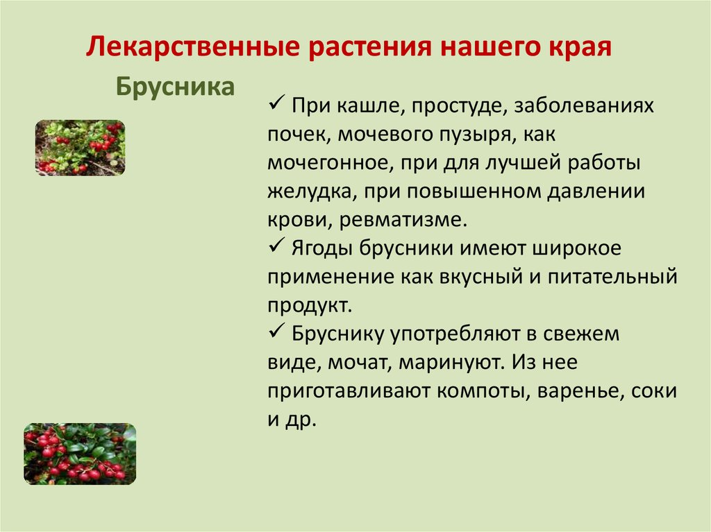 Растительность нашей местности предлагать способ. Лекарственные растения родного края. Лекарственные растения нашего края. Лечебные растения нашего края. Проект лекарственные растения нашего края.