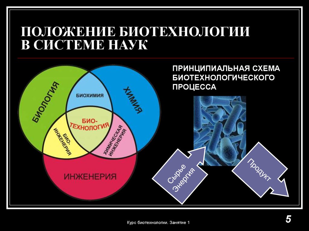 Человек в системе наук