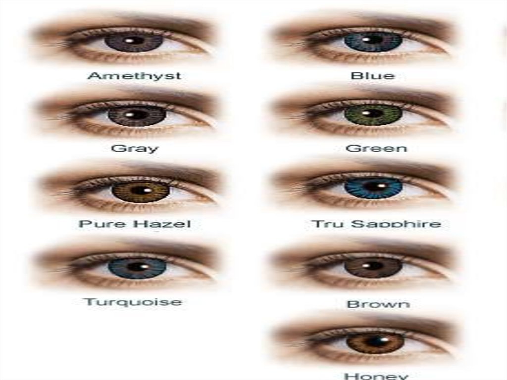 Система глазок. АСУ глаза. Цвета для АИС чтобы глаза вытекали. Colour Alchemy Eye System.
