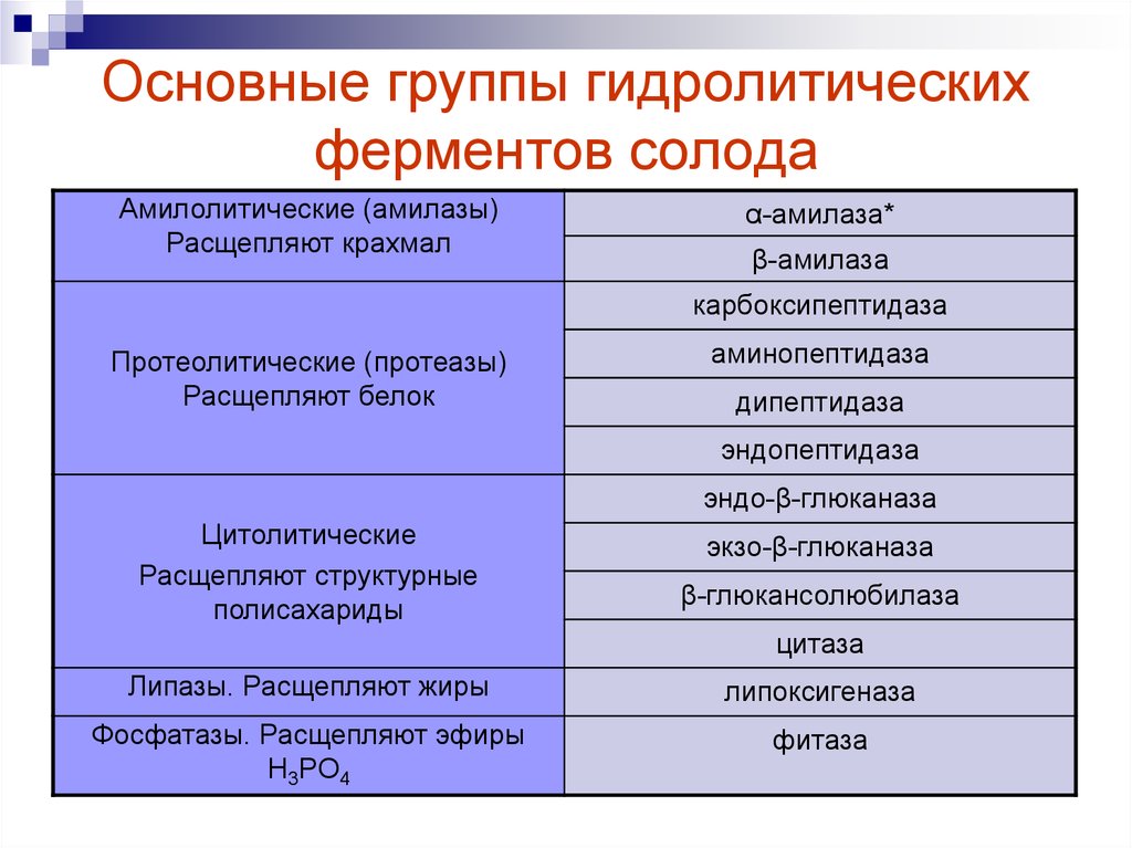 Наличие гидролитических ферментов