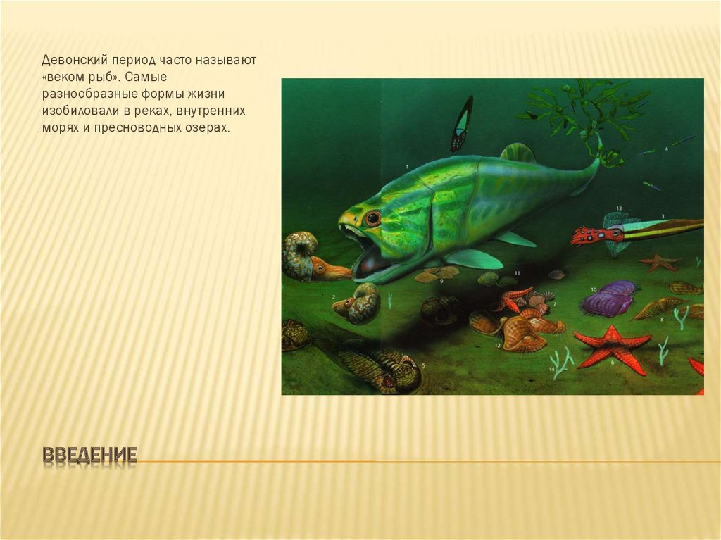 Век рыб. Девонский период. Рыбы девонского периода. Девонский период мощность. Девонская мощность.