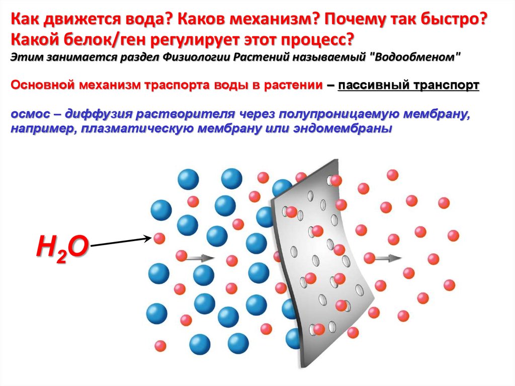 ebook программа семинарских занятий по истории древней