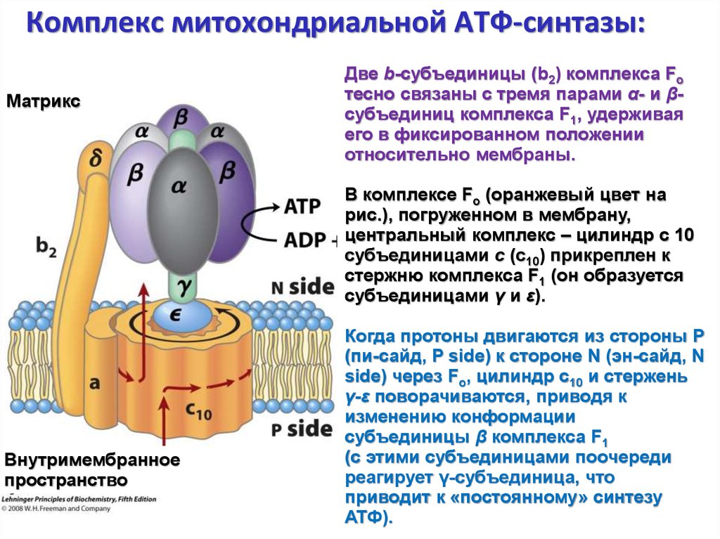 free the analytic field a clinical