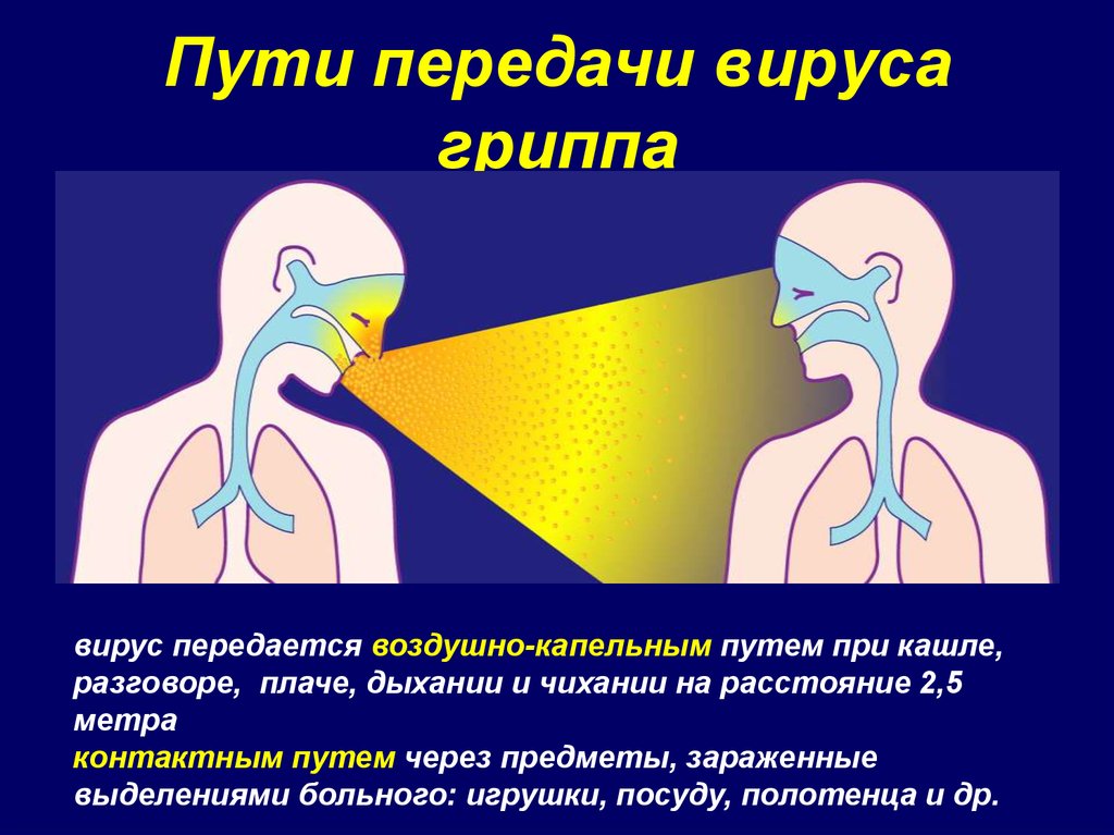 Грипп передача инфекции