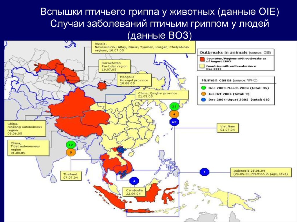 Распространение птичьего гриппа. Птичий грипп карта. Птичий грипп распространение в мире. Карта распространения гриппа.