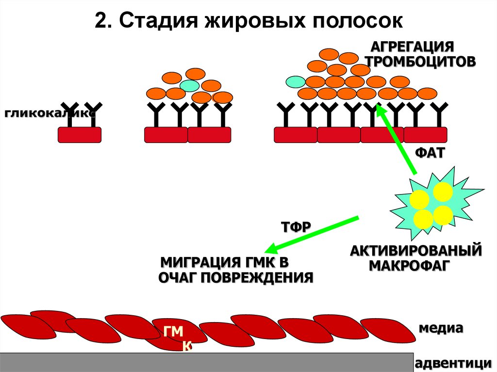 Второй этап