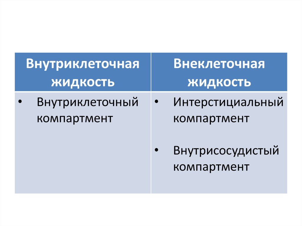 Физические и географические параметры компартмента образец