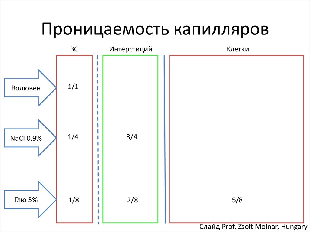 Проницаемость капилляров