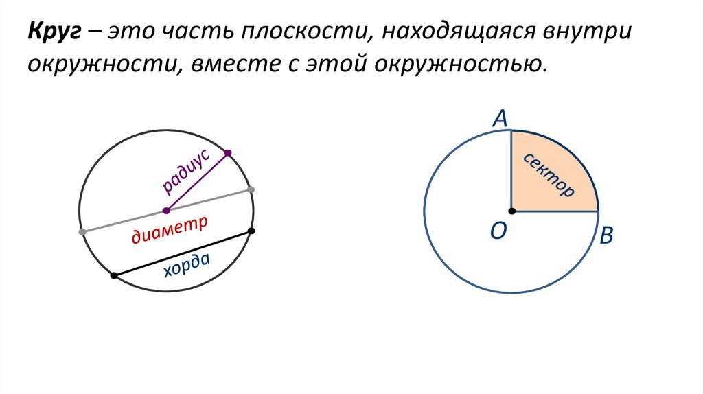 Вывод формулы окружности. Круг окружность сектор сегмент. Окружность внутри круга. Круг это часть плоскости. Сектор окружности.