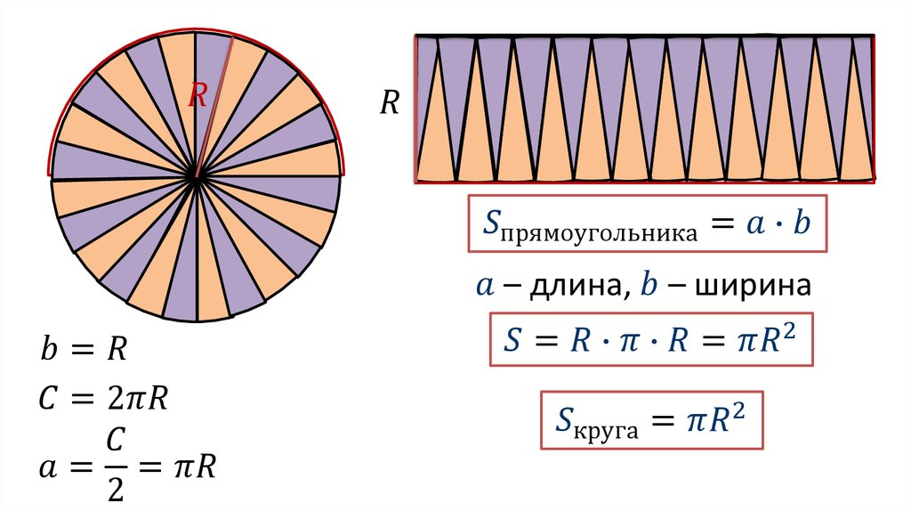 Площадь круга презентация