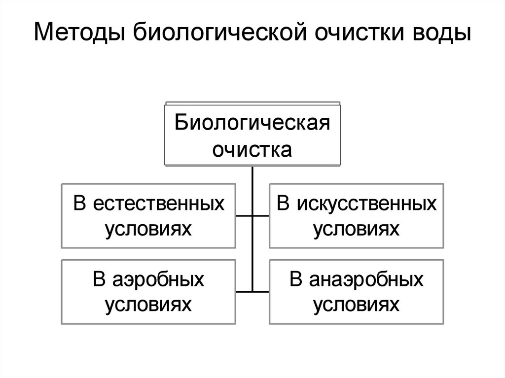 Способы очистки. Биологические методы очистки сточных вод. Биологический способ очистки сточных вод. Биохимические методы очистки. Биологические методы очистки воды.