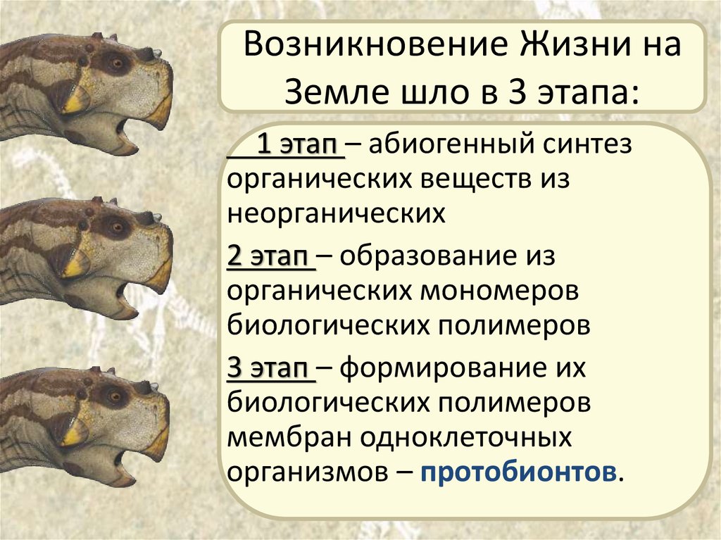 Процессы развития жизни