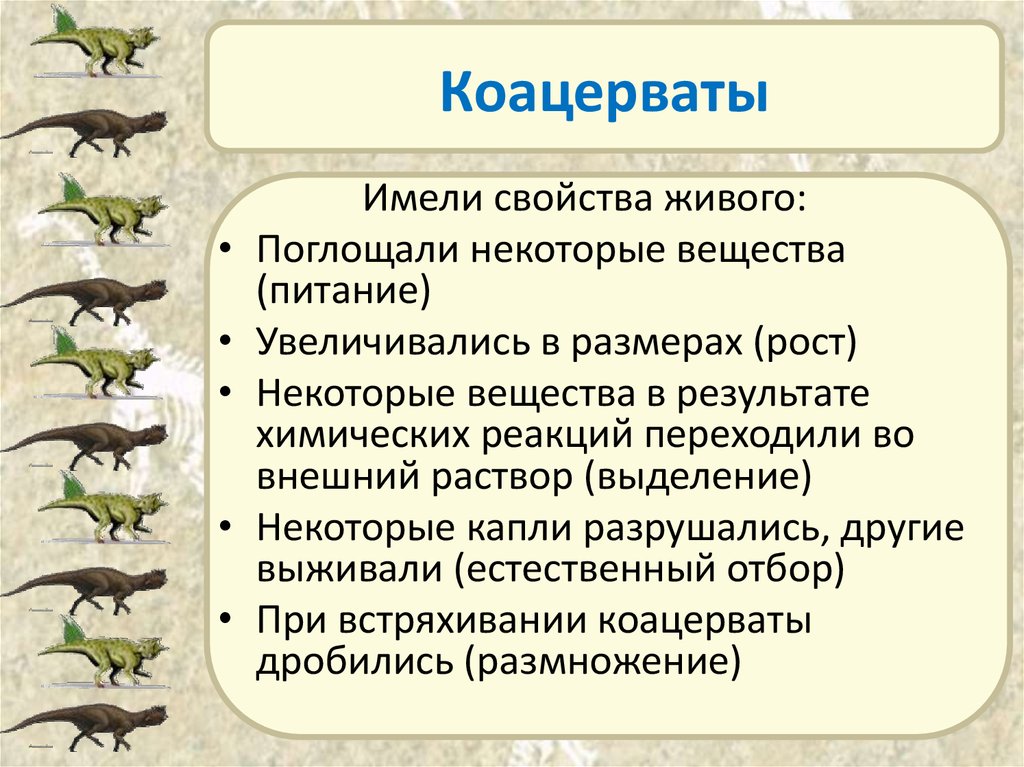 Какие направления органической эволюции привели к формированию