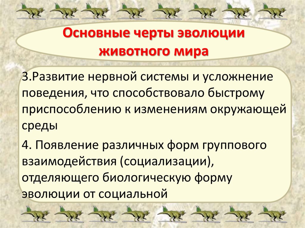 Основные этапы развития животного мира на земле презентация 7 класс