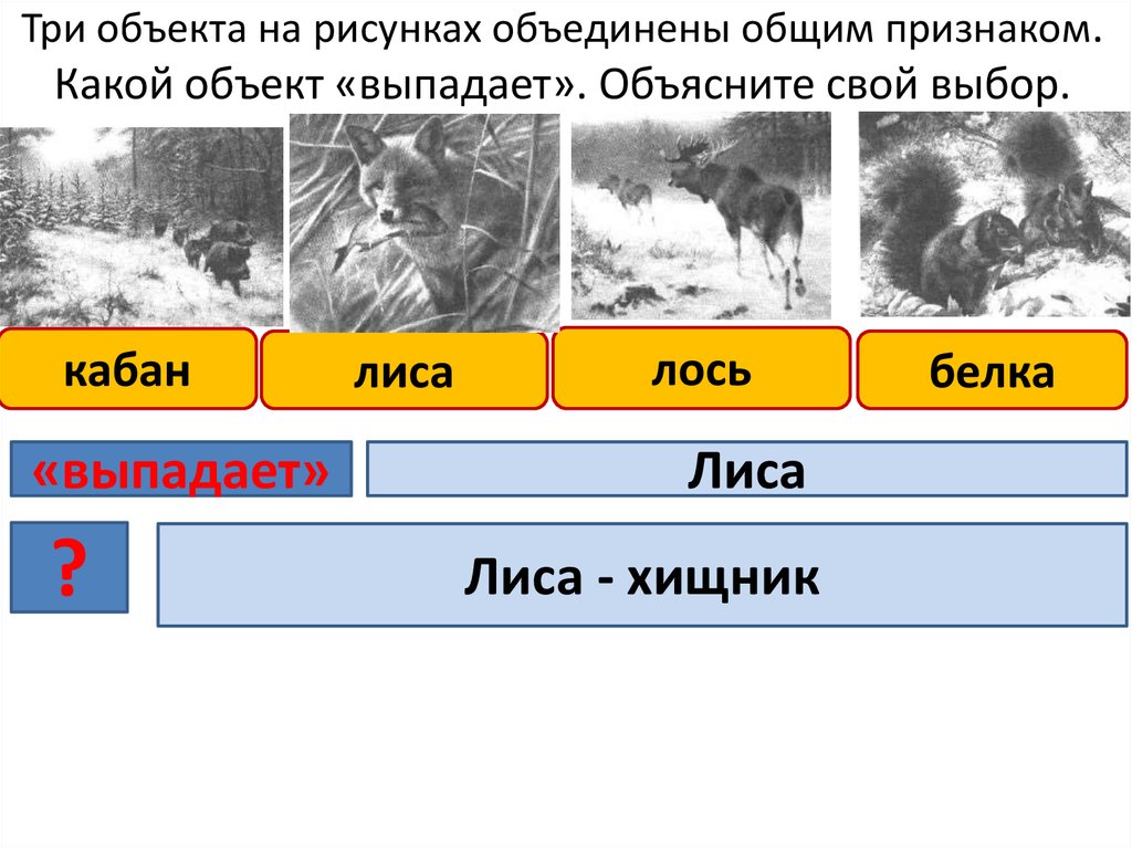 Два из изображения на фотографиях объекта объединены общим признаком