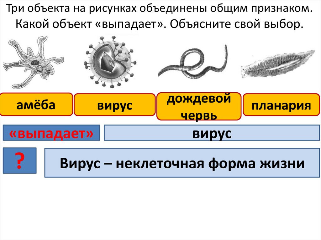 Признак выпадающий из общего ряда